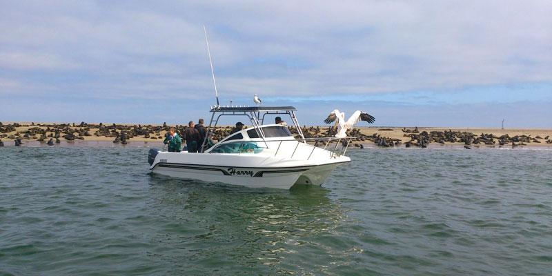 Boat tours in Namibia