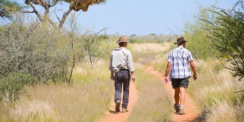 Trans-Kalahari Walk