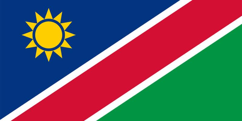 Flag of Namibia Intro