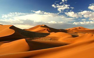 The great Namib Dune Sea