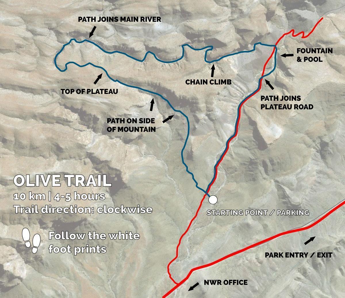 Olive Trail Web
