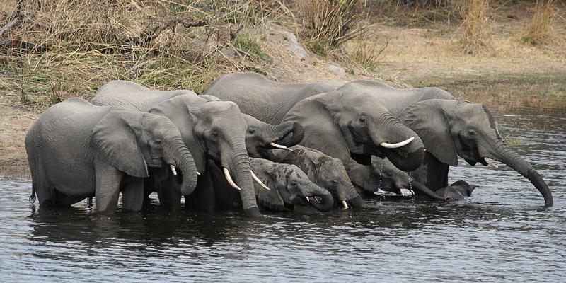 Activities and places of interest in the Caprivi (Zambezi region)