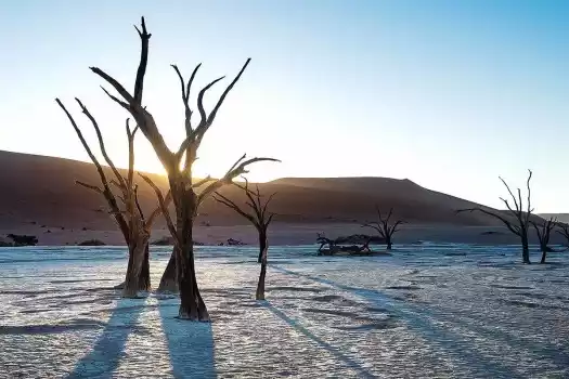 Dead Vlei with camelthorn skelettons