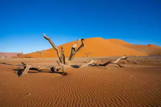 Sossusvlei dune landscapes