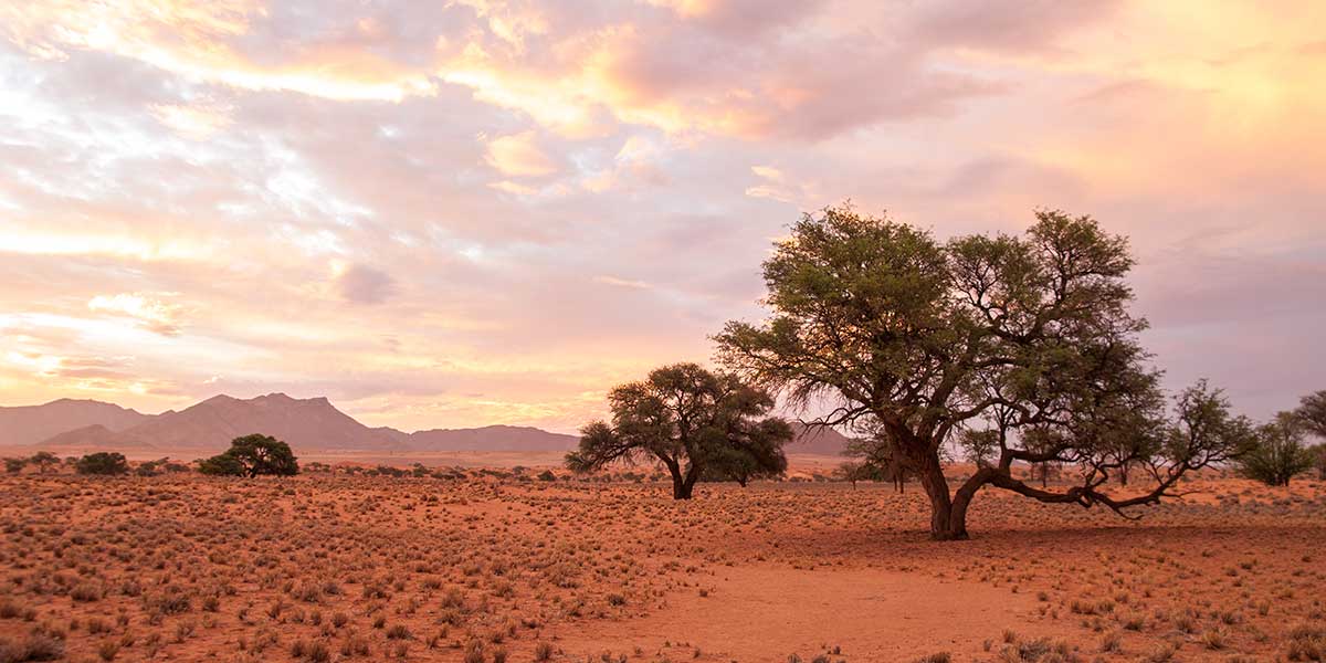 Namibia - a unique country