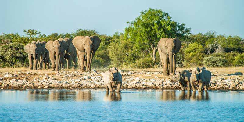 Namibia Highlights Safari